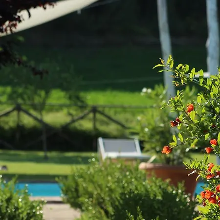 L'ariete Casa de Campo Montone (Umbria)