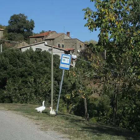 L'ariete Montone (Umbria)