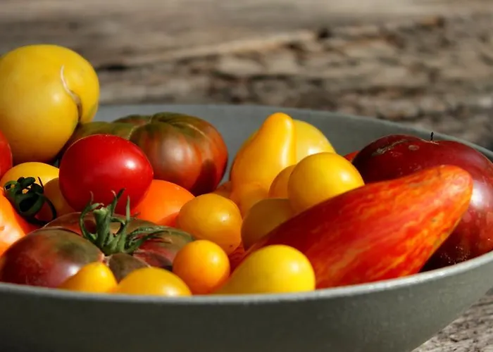 L'ariete Casa de Campo Montone (Umbria)