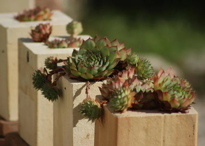 L'ariete Casa de Campo Montone (Umbria)