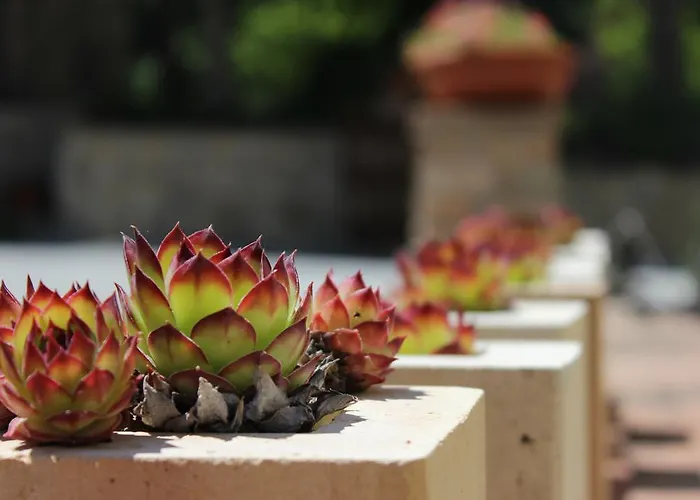 L'ariete Montone (Umbria)